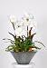 Artificial White Amaryllis Centerpiece