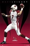 MATT LEINART ARIZONA CARDINALS 22 5x34 POSTER 4024