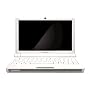 Lenovo Ideapad S10 10.2-Inch Netbook (1.6 GHz Intel Atom N270 Processor, 1 GB RAM, 160 GB Hard Drive, XP Home) White