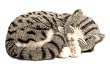 Perfect Petzzz Gray Tabby