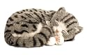 Perfect Petzzz Gray Tabby