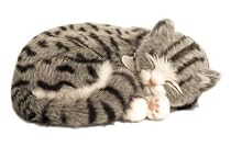 Perfect Petzzz Gray Tabby