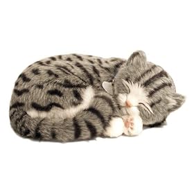 Perfect Petzzz Gray Tabby by Distributoys