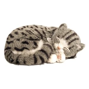 Perfect Petzzz Gray Tabby by 