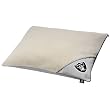 Oakland Raiders NFL Pet Bed