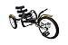 Tri-ton Mobo: The Ultimate Three Wheeled Cruiser 16