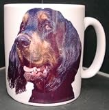 Review The Moneyman  / Gordon Setter DOG MUG