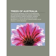 Trees of Australia: Eucalyptus Regnans, Eucalyptus Marginata, Leptospermum Scoparium, Banksia Prionotes, Banksia Sessilis, Banksia Menzies