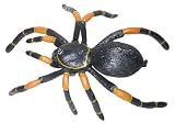 Tarantula