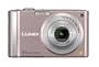 Panasonic Lumix DMC-FS20P 10MP Digital Camera with 4x Wide Angle MEGA Optical Image Stabilized Zoom (Pink)