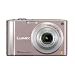 Panasonic Lumix DMC-FS20P 10MP Digital Camera with 4x Wide Angle MEGA Optical Image Stabilized Zoom (Pink)