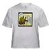 Why Snails Should Not Get Email Addresses - Adult Birch-Gray-T-Shirt Large