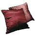 Charlotte Thomas, Kristina Faux Silk Reversible Bed Cushion Cover, 41 x 41 cm