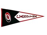Carolina Hurricanes Large Classic Pennant