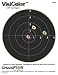 VisiColor High-Visibility Paper Targets, 8 Bull (10pk)