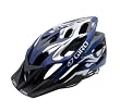 Giro Animas Mountain Bike Helmet (Blue/Silver Flames, Large)