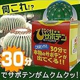 びっくりサボテン　4缶セット