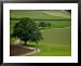 Bicycling in Basel Land, Jura Mountains, Switzerland Framed Art Poster Print by David...