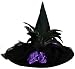 Season's Designs 18-Inch Witch's Hat with Feathers