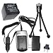 HQRP Battery and Battery Charger for Panasonic PV-GS300, PV-GS31, PV-GS320, PV-GS33, PV-GS34, PV-GS3