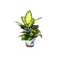 Butterfly Garden Planter