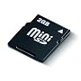 ByteStor 2GB Mini SD (Secure Digital )  Card