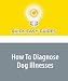 How To Diagnose Dog Illnesses
