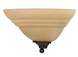Nuvo Lighting 60/2419 Mericana 1-Light Wall Sconce with Amber Shades, Old Bronze