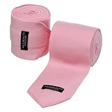 �v���~�A�����r�o���f�[�W�i�s���N�j