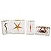 REALBUG Sea Life Specimen 4pc Set