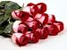 Two Dozen Long Stemmed Premium Fire and Ice Roses