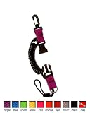 Innovative Snappy Coils Lanyard