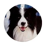 Border Collie Ornament (Round)