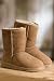 UGG Australia Women's Classic Short Boots, 8, Chestnut