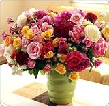ロイヤルガストロ　[19日以降お届け]産地直送・８０本の豪華バラの花束【送料無料】