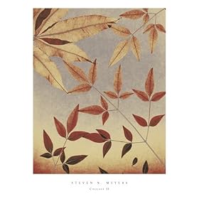 Collage II - Art Print - 45.7x61.0cm - Art247.com Poster Print
