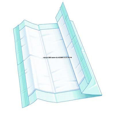 TENA Regular Absorbency Underpad, 17" x 24" - 300 Per Case