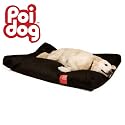 Poi Dog X-Large (50