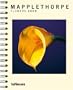 Robert Mapplethorpe Flowers 2008 Calendar
