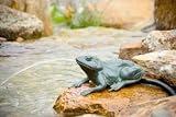 Spitters : Brass Crouching Frog Spitter by Aquascape (LOWER PRICE for 2010!)