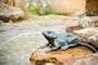 SPITTER - BRASS - CROUCHING FROG 4""H