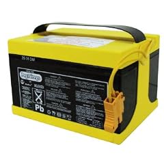 Ersatzbatterie Peg-Perego IAKB0021 - 24V 12Ah