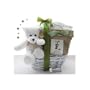 Grow-a-Tree New Baby Gift Basket