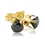 1/5ct Black Diamond Stud Earrings in 10K Gold