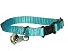 Sandia Pet Products Turquoise Ferret Collar with Bell - adjustable 4 to 8 inches