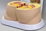 41%2BnHCMNSEL. SL160  obesity: Obesity Anatomical Model