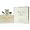 Miss Dior Cherie By Christian Dior For Women. Eau De Parfum Spray 3.4 oz
