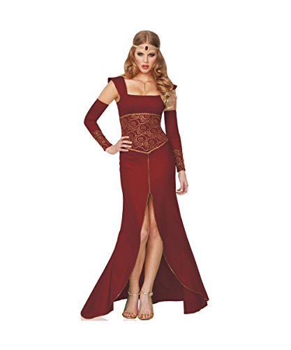 Medieval Princess Adult Womens Dress Costume