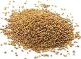 Certified Organic Alfalfa Sprouting Seed- 2.5 Lbs - Handy Pantry Brand - High Sprout Germination- Gardening, Growing Salad Sprouts, Planting, Food Storage & More