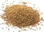 Certified Organic Alfalfa Sprouting Seed- 2.5 Lbs - Handy Pantry Brand - High Sprout Germination- Gardening, Growing Salad Sprouts, Planting, Food Storage & More